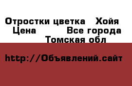 Отростки цветка  “Хойя“ › Цена ­ 300 - Все города  »    . Томская обл.